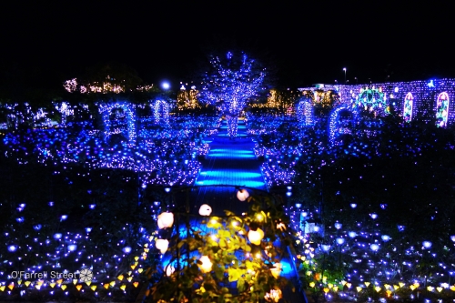 あしかがフラワーパークと合わせて楽しむモデルコース7選 栃木 群馬