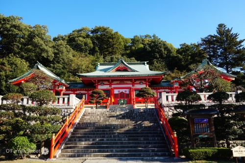 あしかがフラワーパークと合わせて楽しむモデルコース7選 栃木 群馬