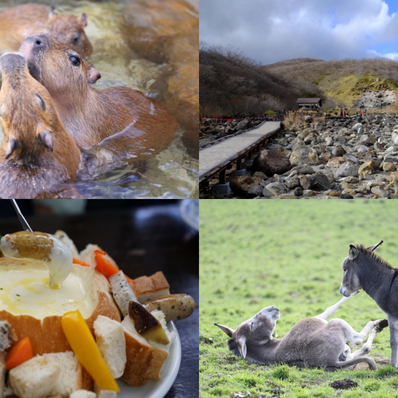 那須どうぶつ王国に殺生石も 那須の人気名所をめぐる1泊2日観光モデルコース