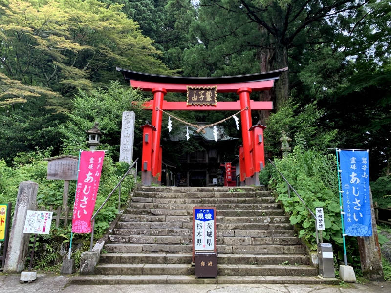 栃木県と茨城県の県境にあり！フクロウの神社「鷲子山上神社」の