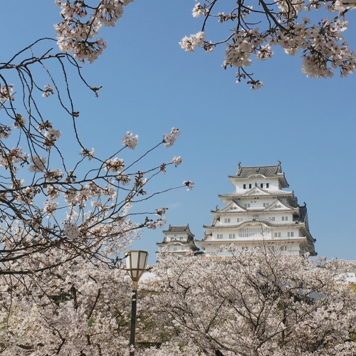 姫路 駅から徒歩圏内のオススメ観光11選