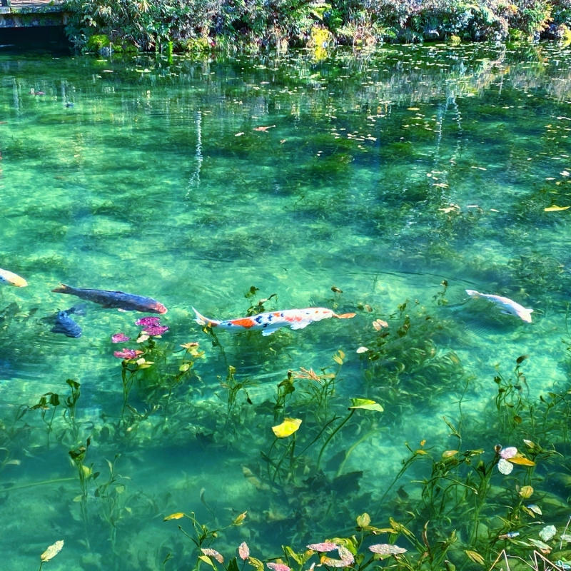 日帰り旅行に 東海地方のおすすめ観光スポット エリア33選 日帰り旅行に 東海地方のおすすめ観光スポット エリア33選