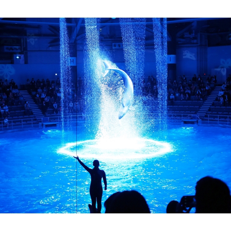 東京近郊の人気水族館11選 カップルのデートにもおすすめ