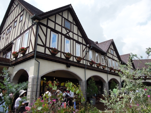 兵庫 あじさいやラベンダーも 初夏の神戸布引ハーブ園を訪ねよう