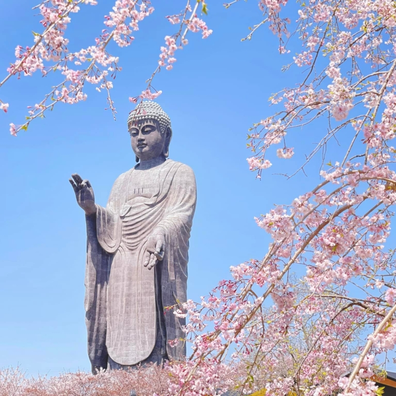 【Sugi☆hirokoさん専用】ローズクウォーツ　とフローライト大仏パーツ Sugi☆hirokoさん専用】ローズクウォーツ とフローライト大仏パーツ