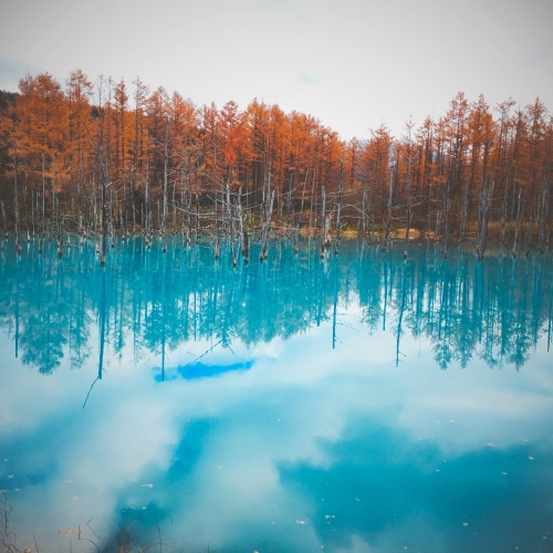 日本の人気の湖沼top30 旅行好きが行っている全国の湖沼ランキング