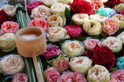 花手水が美しい全国のおすすめ神社 お寺8選