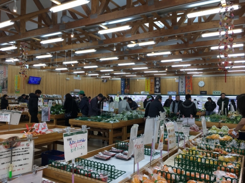 新鮮 楽しい わいわい市 で神奈川の地場産食材を手に入れよう