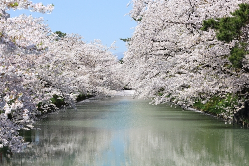 ゴールデンウィークは青森旅行 Gwにおすすめの観光スポット イベント22選