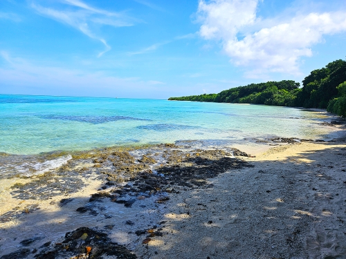沖縄の原風景が残る「竹富島」のおすすめスポット