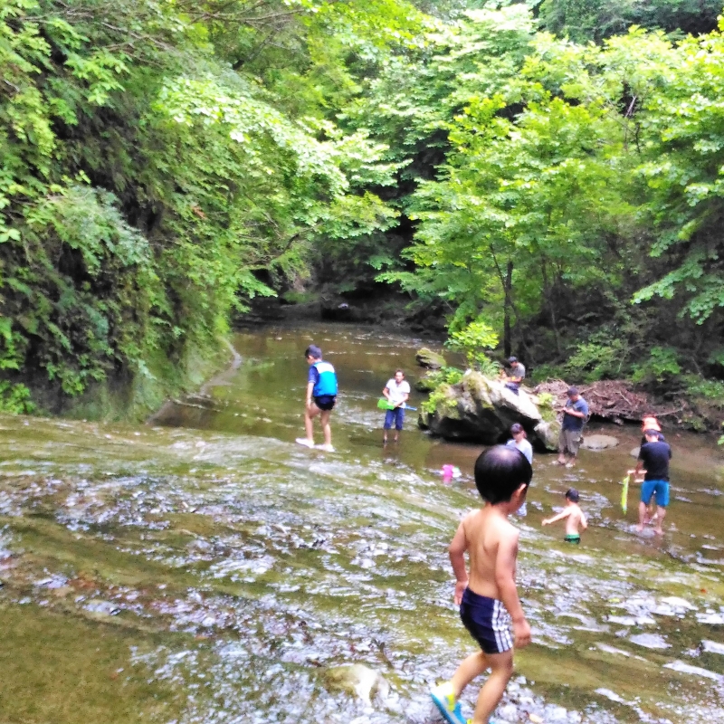 房総 ホタル狩りも滝つぼプールも 清和の森 で贅沢キャンプ