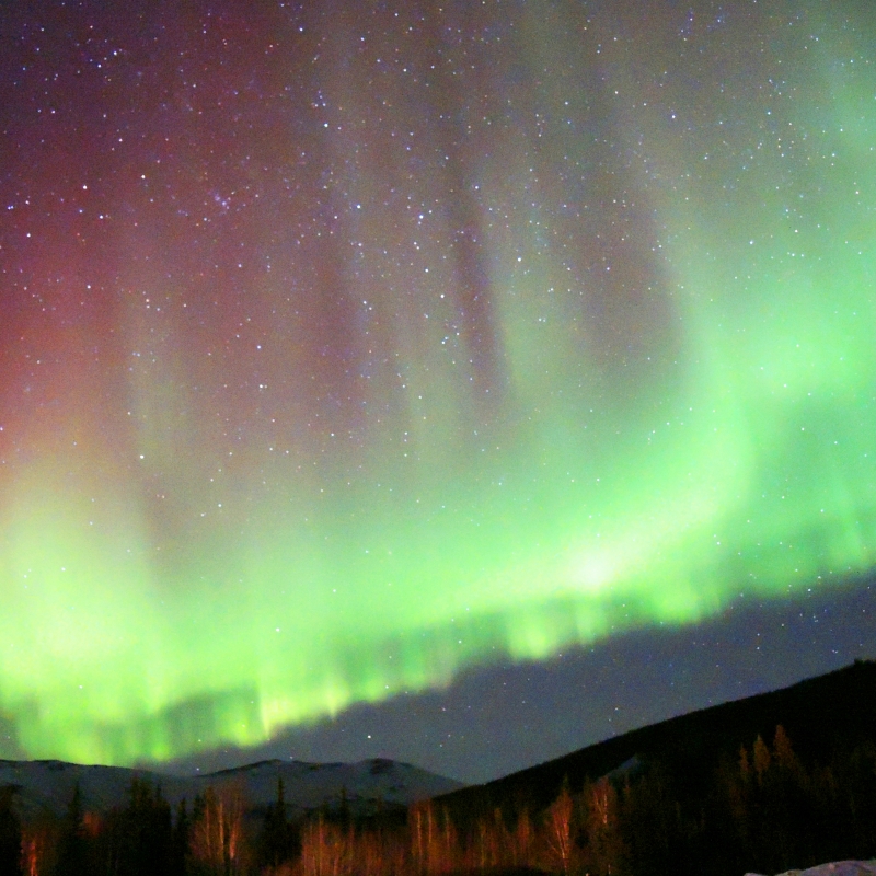 アラスカ オーロラも温泉も満喫 自然の楽園チナ温泉リゾート