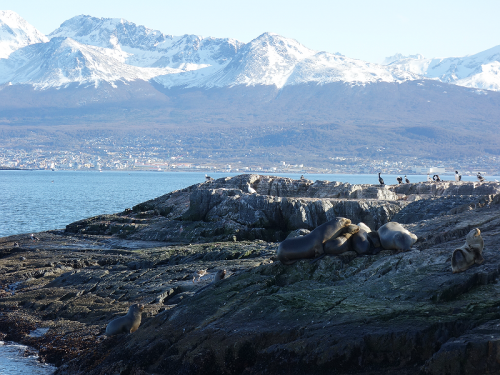 アルゼンチン 南極に最も近い町 ウシュアイアは寒いのにあたたかい 旅人がこの町に長期滞在する理由