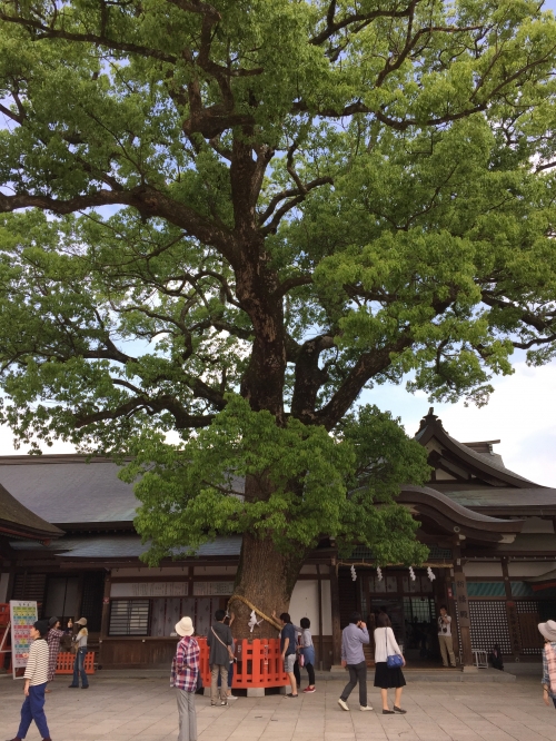 大分 参拝前に八幡神社 八幡宮の総本社 宇佐神宮 の謎を知っておこう 2ページ目 大分 参拝前に八幡神社 八幡宮の総本社 宇佐神宮 の謎を知っておこう 2ページ目
