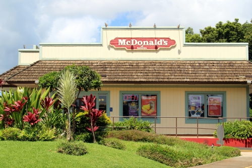 ハワイ オアフ島 ウミガメも 路線バス 2 5でノースショアへ