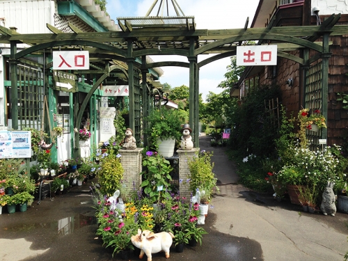 北海道 帯広 まさに地上の楽園 花を愛する おばあちゃんが造った夢の世界 紫竹ガーデン