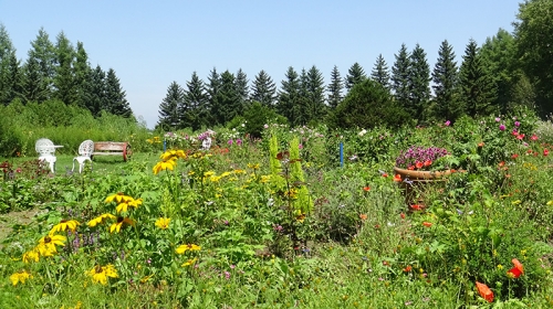 北海道 帯広 まさに地上の楽園 花を愛する おばあちゃんが造った夢の世界 紫竹ガーデン
