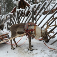サンタクロース村の地図