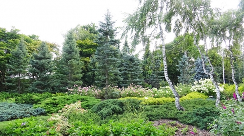 北海道 帯広 日本初 最大規模のコニファーガーデン 針葉樹庭園 真鍋庭園でリフレッシュしよう
