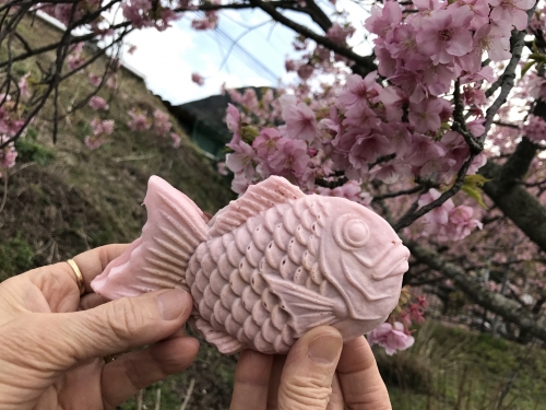 静岡 河津桜 稲取のつるし雛を楽しむ早春の旅へ