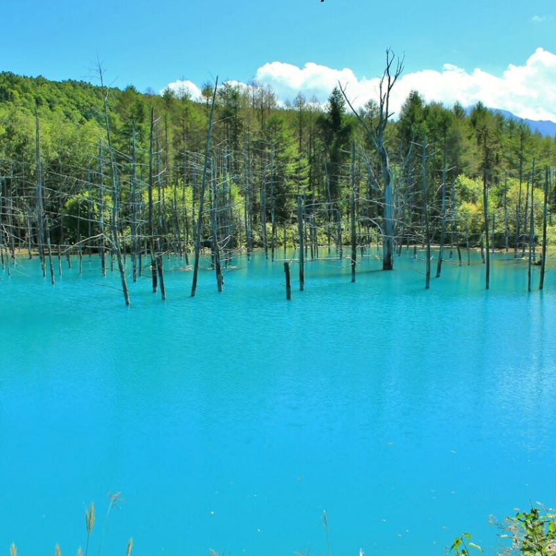 北海道の人気観光スポットtop55 旅行好きが行っている観光地ランキング