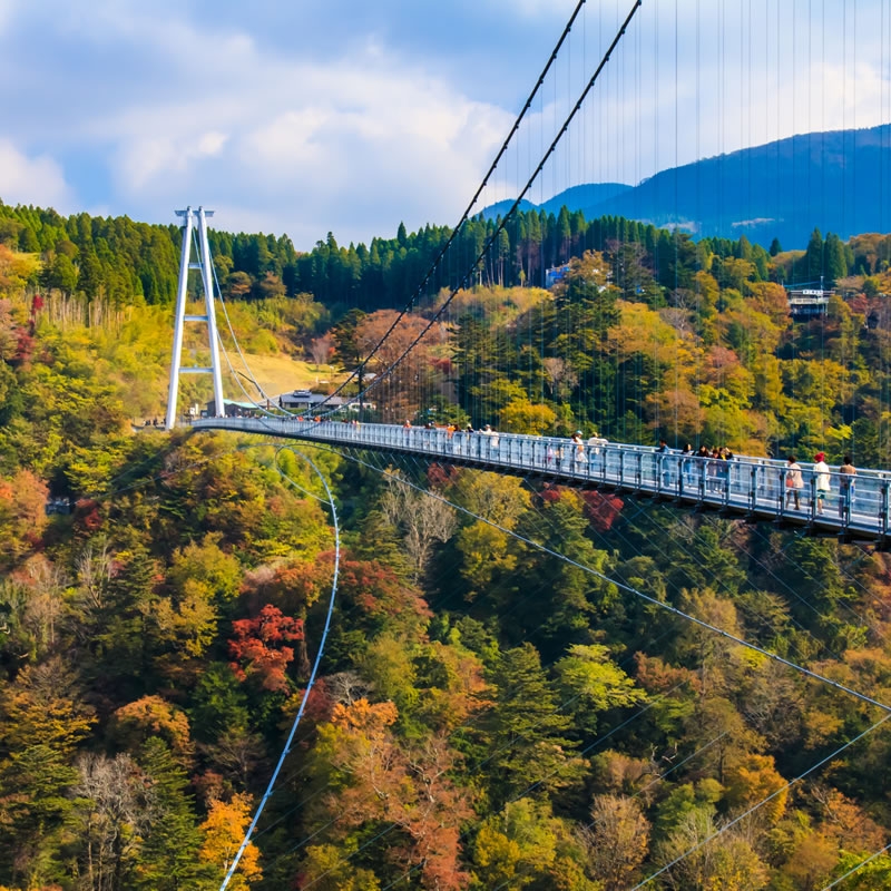 大分県の人気観光スポットtop25 旅行好きが行っている観光地ランキング