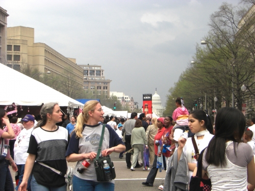 ワシントンd C の桜並木と全米桜祭りをトコトン楽しもう 2ページ目