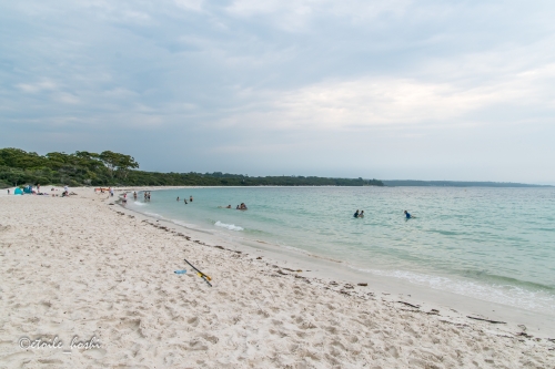 シドニー近郊 フォトジェニックな世界一白い砂浜ジャービスベイ