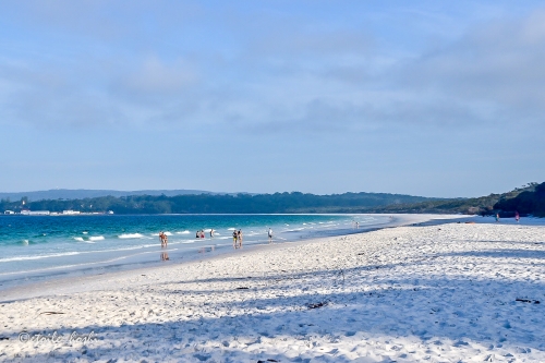 シドニー近郊 フォトジェニックな世界一白い砂浜ジャービスベイ