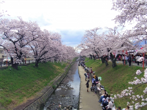 奈良 穴場あり 地元民がおすすめする桜の名所8選 奈良 穴場あり 地元民がおすすめする桜の名所8選