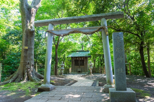 静岡 本当は広めたくない 柿田川湧水公園の神聖な見どころ5選