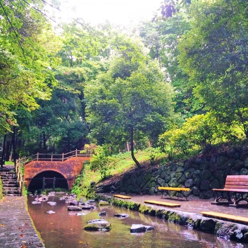 静岡 本当は広めたくない 柿田川湧水公園の神聖な見どころ5選