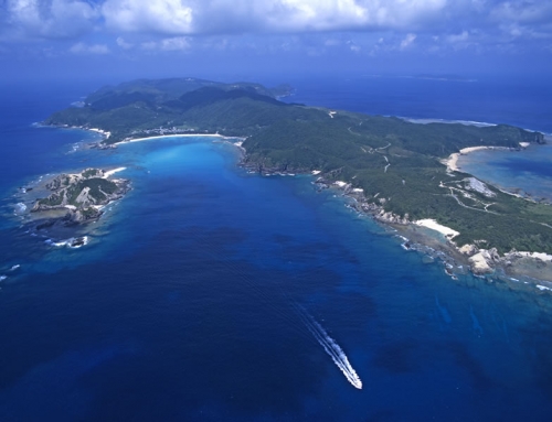 美しすぎる「ケラマブルー」の海！世界が惚れる”慶良間諸島”を徹底ガイド