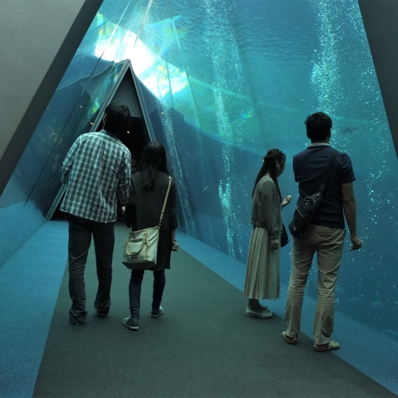 ちょっと変わってる水族館 アクアマリンふくしま 福島