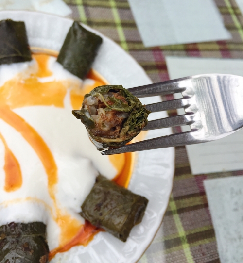 絶対に食べて帰りたい 本場で味わうトルコ料理おすすめ6選