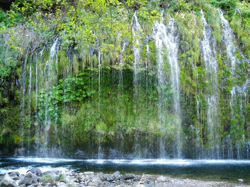 アメリカ クリスタルガイザーの源泉 世界7大聖山 シャスタ山 の魅力スポット