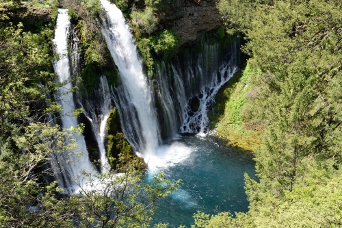 アメリカ クリスタルガイザーの源泉 世界7大聖山 シャスタ山 の魅力スポット