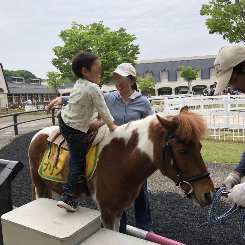 大人から子供まで自然や馬と遊べる 三木ホースランドパーク 神戸