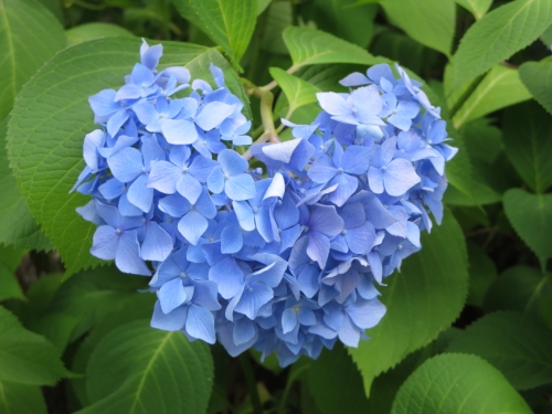 関西女子旅にぴったりな観光 お出かけスポット28選 旅行好き女子がおすすめ