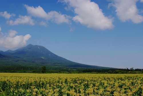 嶽きみのおすすめスイーツ3選 弘前土産にも