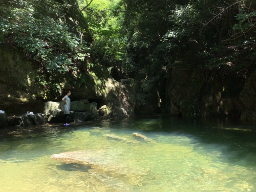 新神戸駅 新幹線の真下を流れる 生田川 で大人も子供も楽しく水遊び