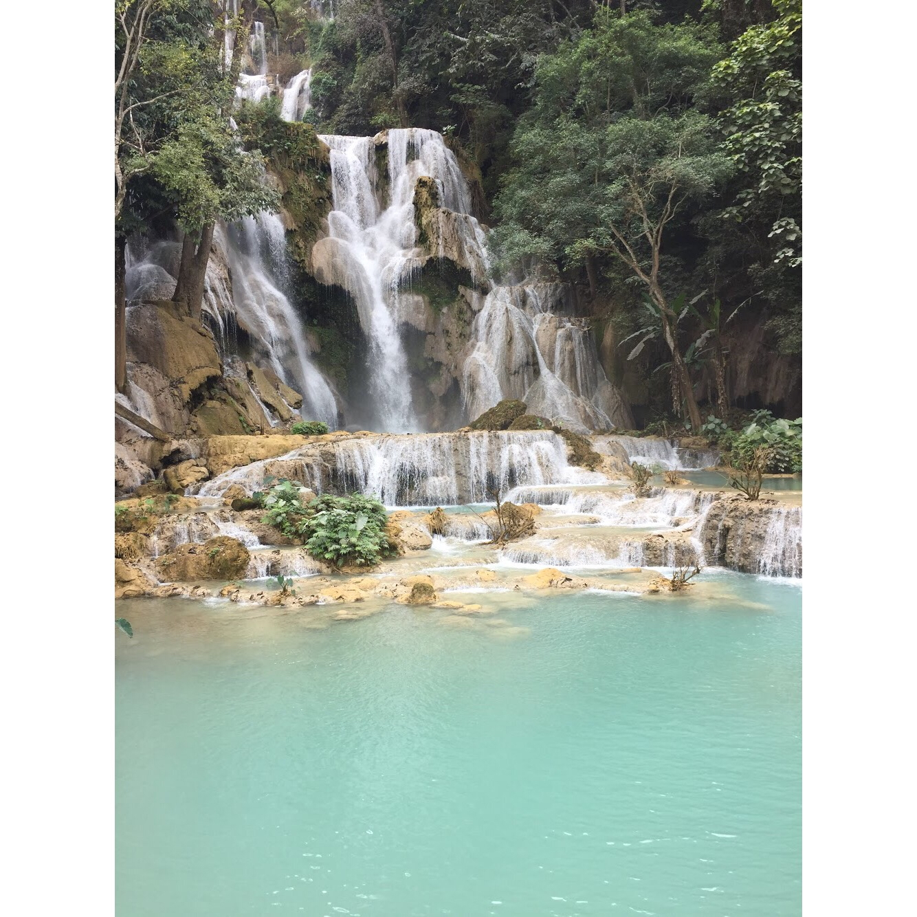 タート・クアンシーの滝の写真(ラオス ルアンパバーン クァンシーの滝) | トリップノート