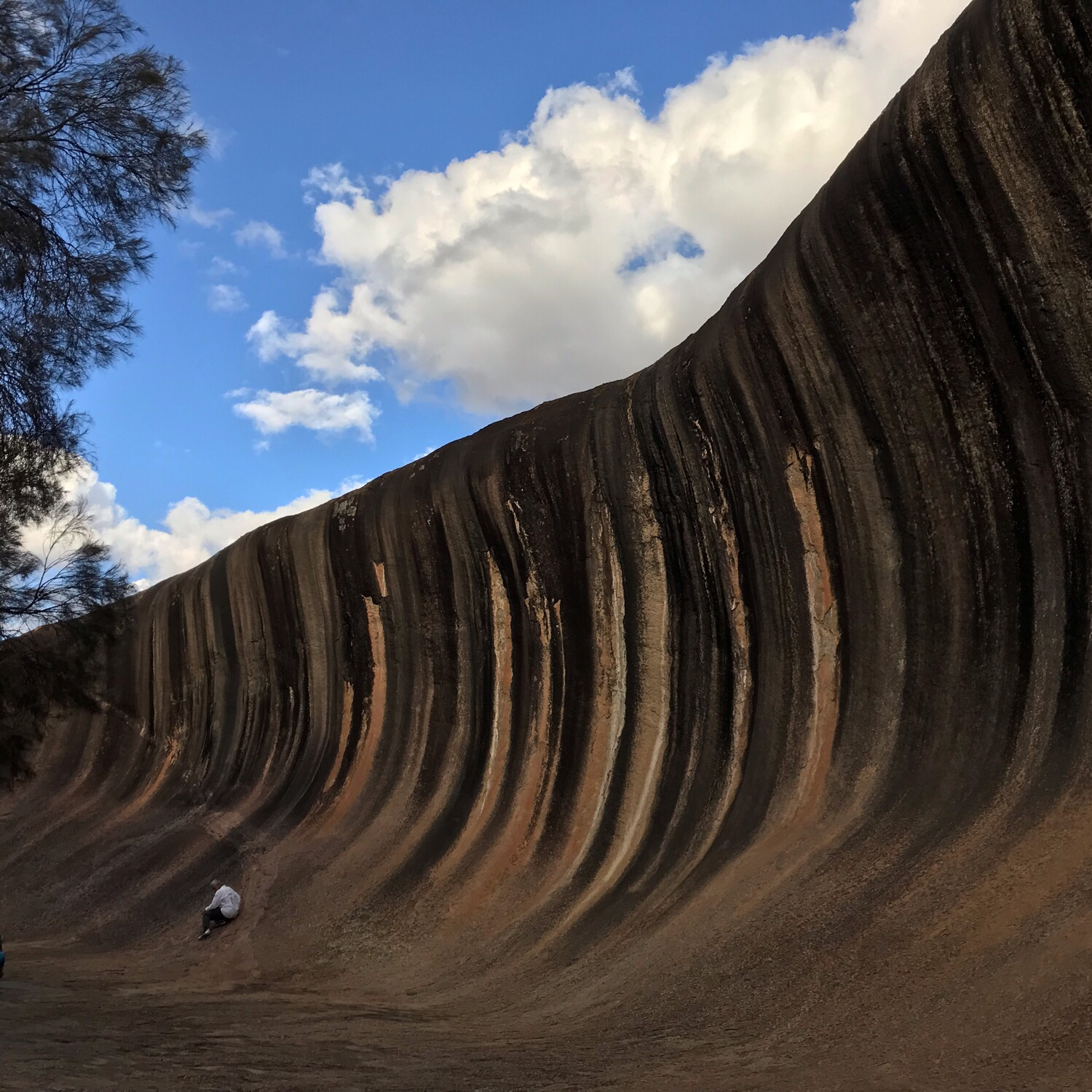 ウェーブロック（ハイデンロック）の写真（wave rockまでperth市内から約4時間。怪しかっ...） ｜ トリップノート