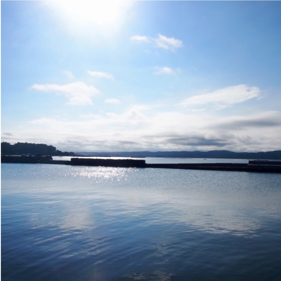 野々島の写真（野々島 浦戸諸島 塩竈 宮城2017年8月） ｜ トリップノート