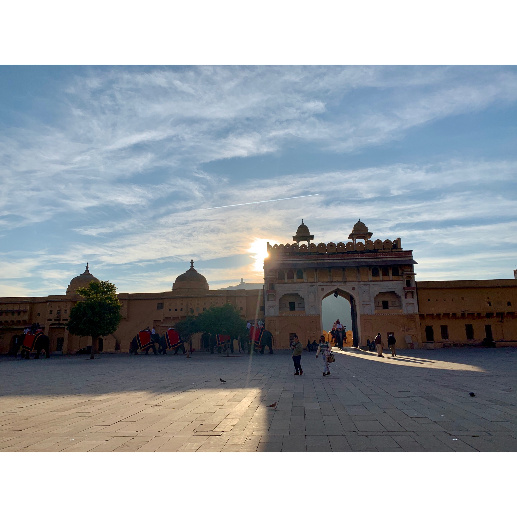 アンベール城の写真(2020年1月24日インド アンベール城ぞうの背中は...) | トリップノート