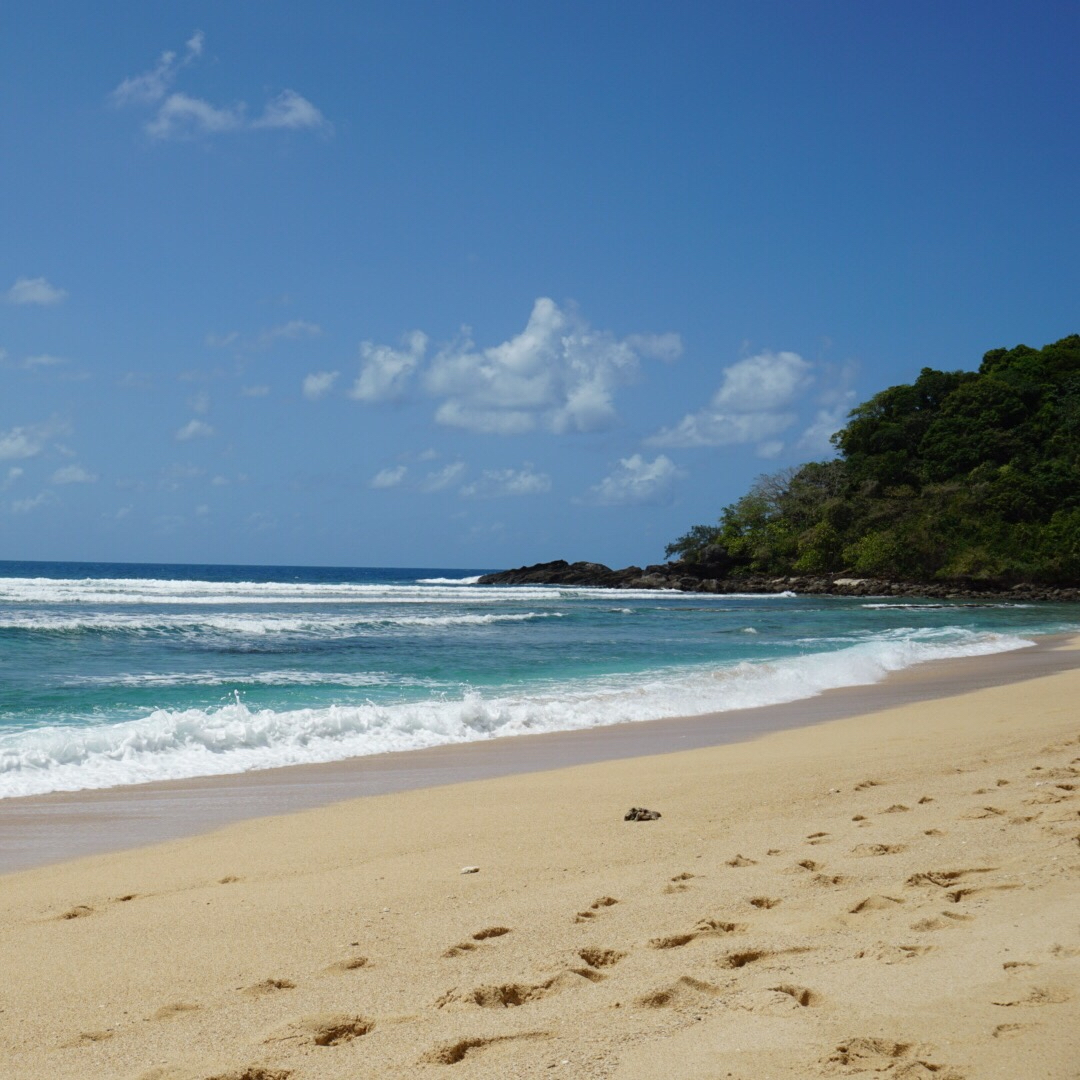 フランクランド島の写真（ケアンズ＊フランクランド） ｜ トリップノート