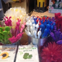 レモン・ゼスト