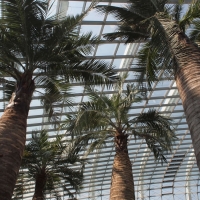 フラワー・ドーム