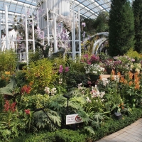 フラワー・ドーム