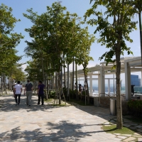 スカイパーク・展望デッキ